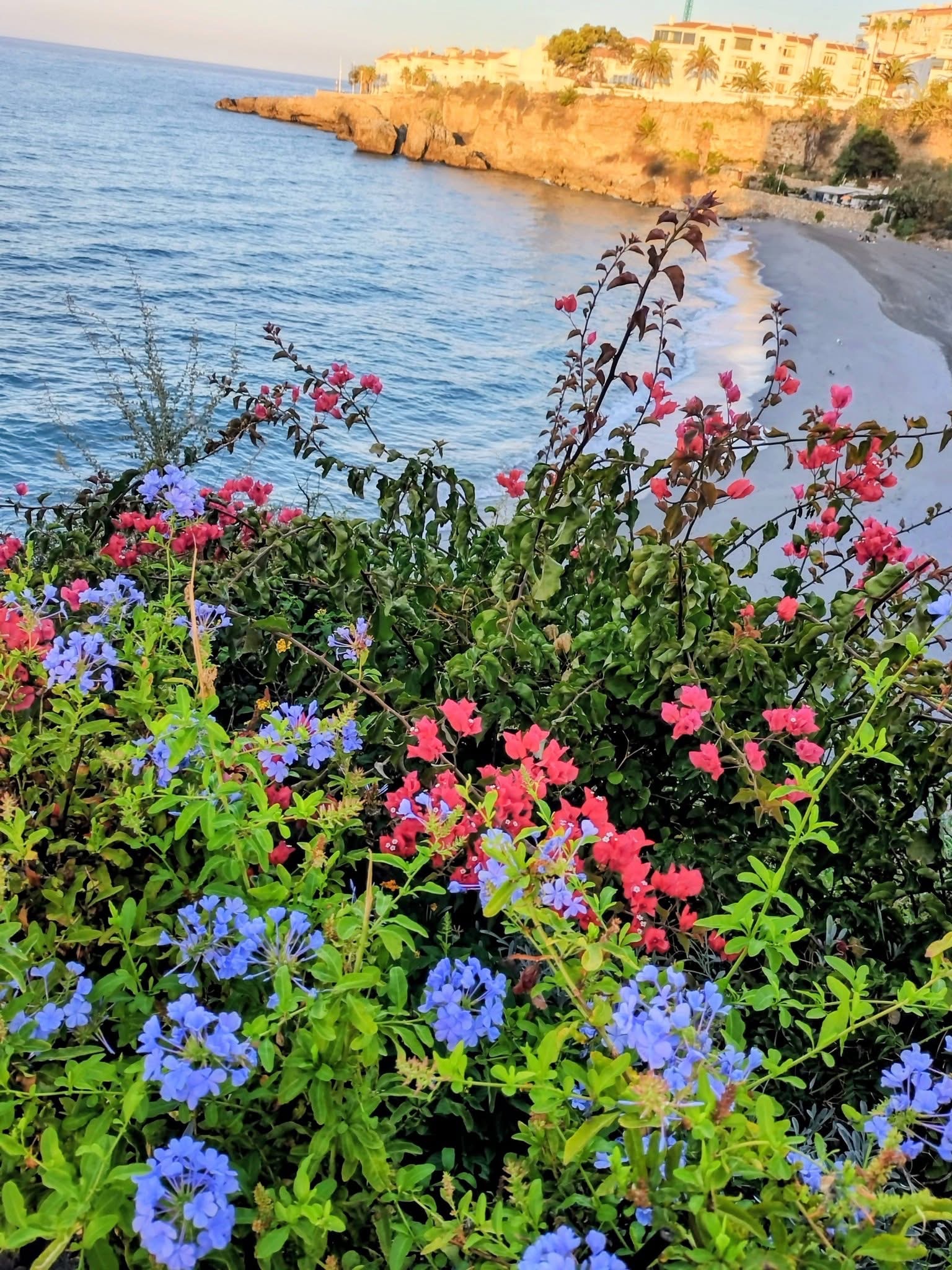 View over a bay in Nerja with colorful flowers
