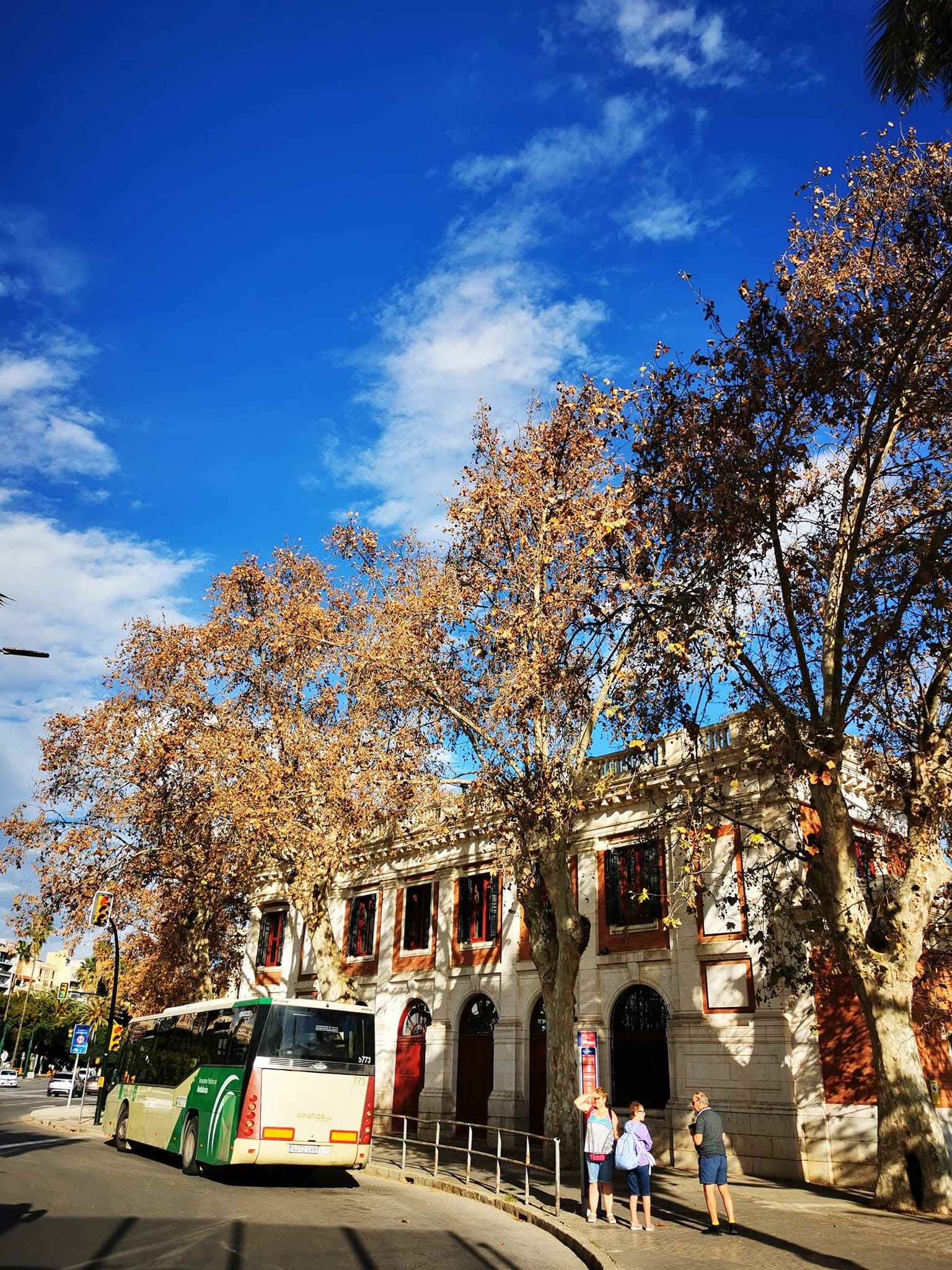 De Alsa bus